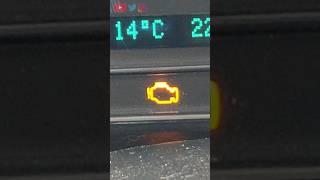 ANOTHER CHECK ENGINE LIGHT!! P0442!!
