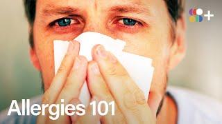 Why Are Allergies So Common?