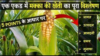 मक्का की खेती कब और कैसे करें | Makka ki kheti ki puri jaankari |  Cron/Maize Farming In India