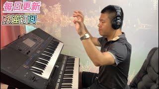 经典怀旧歌曲小白杨【电子琴演奏】Electronic keyboard performance