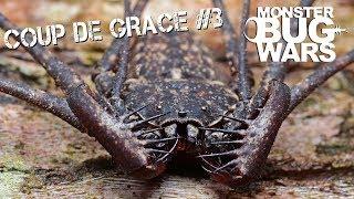 MONSTER BUG WARS | Coup De Grace Collection #3