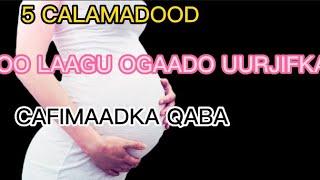 5 CALAMADOOD OO LAGU OGAADO UURJIFKA CAAFIMAADKA QAABA