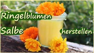 Ringelblumensalbe herstellen  Mein Rezept