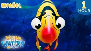 I.M Tiger esta TRISTE! | Animaciones | Weird Waters: El Estanque Mágico | 9 Story Kids en Español