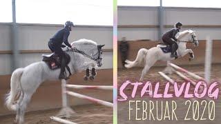 Lene wird Springpony | Patrick hat Springtraining | Stallvlog 2020 | BinieBo