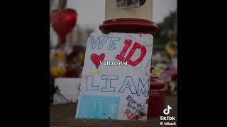 #justiceforliam #UnidosporLP #liampaynetribute #lp1 #onedirection #1d #1dforever