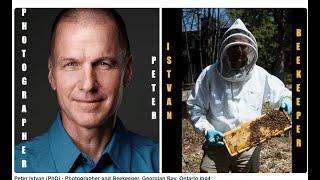 The collision of Beekeeping and Photography | Peter Istvan Photograpphy