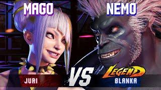 SF6 ▰ MAGO (Juri) vs NEMO (Blanka) ▰ High Level Gameplay