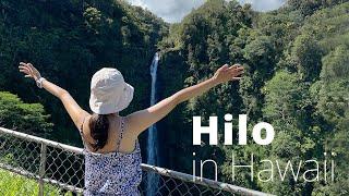 Hilo, Hawaii (Akaka Falls, Hawaiian foods, and…) 빅 아일랜드 힐로 아카카폭포, 맛집 여행 - Hawaii Daily Vlog 