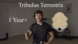 1 Year+  Tribulus Terrestris Review