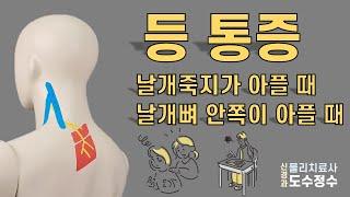 등통증, 견갑내측통증 - 날개뼈 안쪽이 아플 때, 어깨죽지가 아플 때, 견갑배신경 포착 증후군