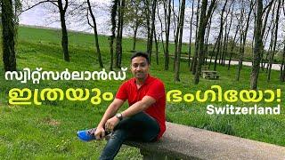 #06 സ്വിറ്റ്‌സർലാൻഡിലെ മനോഹരകാഴ്ചകളിലേക്ക് Road Trip-France Germany Switzerland | PalanadanTraveller