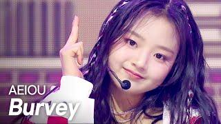 버비(Burvey) – 아에이오우(AEIOU) l Show Champion l EP.553 l 250430