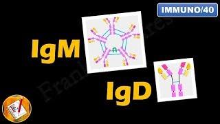 IgM, IgD : Structure, Properties and Functions (FL-Immuno/40)