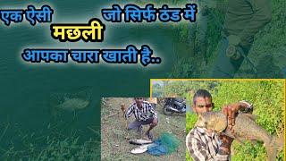 Monster Carp Fishing|| Bighead / Silver Carp Bait|| आज दो अनोखी मछली का शिकार हुआ #carpbait #bighead