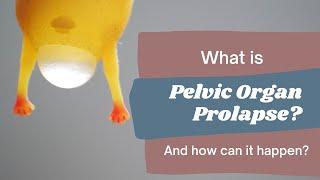 Pelvic Organ Prolapse: Everything You Need to Know