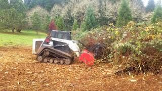 Bamboo Valley Forestry mulching Oregon blackberry thicket with wild plums and willows