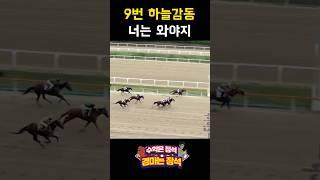 9번 하늘감동 늦발에... 아주 골때리는 경주