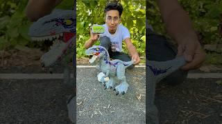 Big two Remote Control Dinosaur testing