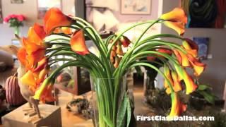 Mia Fiori Flower Shop | Plano, Texas | Shops at Legacy