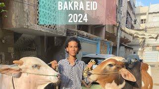 Eid ul azha 2024 | Allahhumdullilah ️ 2 janwar lelie | zabardat sodae|#2024 #cow #bakraeid #vlog 