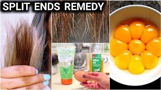 ಒಂದು ಸಲ ಹಚ್ಚಿ SPLIT ENDS ಯಾವತ್ತೂ ಆಗಲ್ಲ | Split Ends, Damaged, Frizzy Hair, Rough Hair Home Remedy