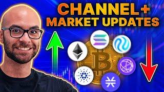 The Crypto Market Right Now: Altcoin Season, BTC, Memes, Scams, & My Channel's/Personal Update!