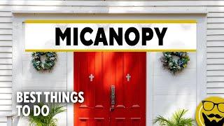 Top Things to See & Do in Micanopy, Florida