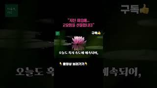 “마음을 쉬게 하는 부처님 말씀 – 듣기만 해도 편안해집니다” #asmr #자기수행 #마음공부 #명상 #부처님말씀  #좋은글