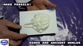 Mad Science Summer Camp - Dinos and Ancient Worlds