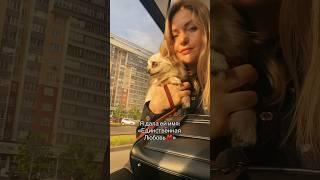 Вся история на YouTube: Катя Беларусь ️