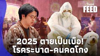 โรคระบาดพุ่ง! ‘หมอบี’ เตือนตายเกลื่อน ไร้ทางรักษา สัตว์สู่มนุษย์|ไทยนิวส์|ไทยฟีด 15-PP