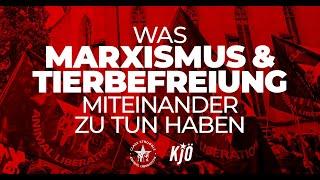 »Was Marxismus & Tierbefreiung miteinander zu tun haben« | Vortrag und Q&A