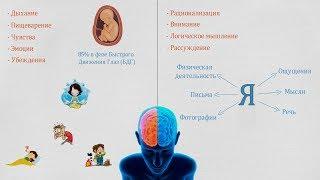 Сознание и подсознание