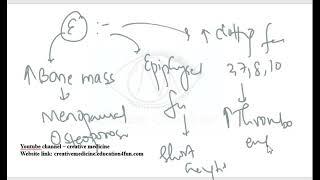 Lec 13 Effects of Estrogen and Progesterone on Different Tissues