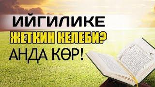 Ийгилике жеткиң келеби? Анда көр!