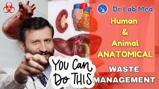 Unlocking the Secret Facts of Human & Animal Anatomical Waste Management: