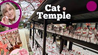 Cat Temple in Tokyo  Getting there - Gotokuji Temple一人旅