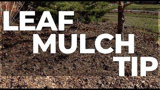 Leaf Mulch Tip