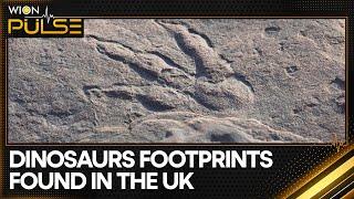 Hundreds Of Different Dinosaur Footprints Discovered In UK's Oxfordshire | World News | WION Pulse