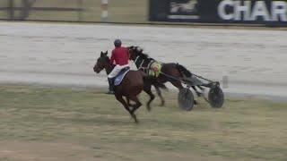 Incredible call of clerks capturing runaway harness racing horse at Charlton!