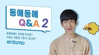 동애등에 먹이는 어떤걸로? 어디서? 알아보나요? | #동애등에Q&A 에피소드2