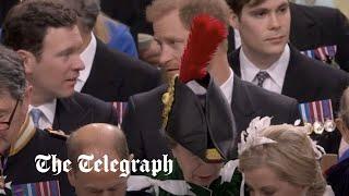 Prince Harry's view of Coronation 'obscured' by Princess Anne's huge feather