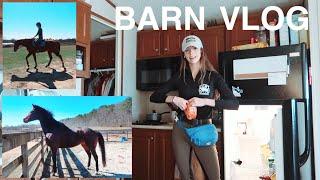 a very *real* barn vlog // #16