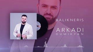 ARKADI DUMIKYAN - BALIKNERIS