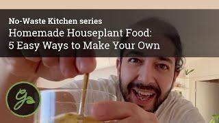 5 Easy Ways to Make Your Own Homemade Houseplant Food: No-Waste Kitchen - Episode 2