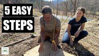 How to Plant a Tree the Permaculture Way