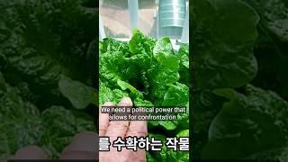 실내재배 식물LED형광등 구입할때 꼭 알아야 할 #너에게만착해 #식물재배tv  #gardening