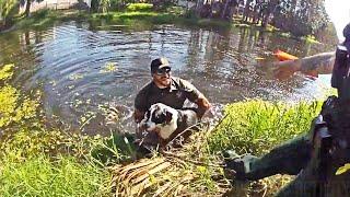 Florida Deputy Jumps into Canal to Rescue Stranded Dog