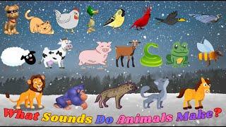 What Sounds Do Animals Make? | Animal Sounds Song M5TH11 | Kids TV